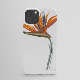 Bird of Paradise 01 Botanical Flower iPhone Case