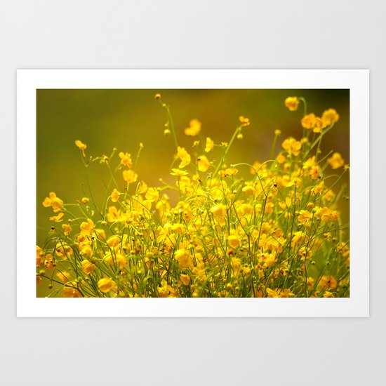 Yellow Mellow Flowers Art Print