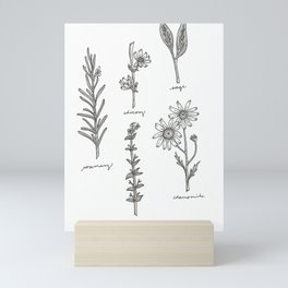 Kitchen Herbs Mini Art Print