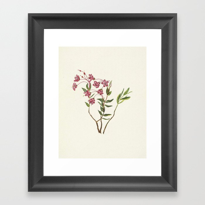 Pink Flowers Framed Art Print