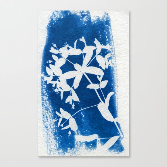 Herbal Sunprint #5 Canvas Print