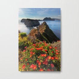 Anacapa Island and Ice Plant, Channel Islands National Park, California Metal Print