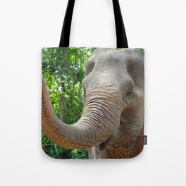 happy elephant in a sanctuary in Thailand Tote Bag