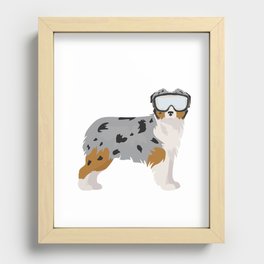 Aussie wearing snow goggles Recessed Framed Print