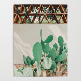 Breezy Prickly Pear  Poster