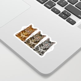 Triple Tabbies Cats Sticker | Cats, Painting, Pet, Tabbies, Pets, Feline, Cat, Maine Coon, Love, Animal 