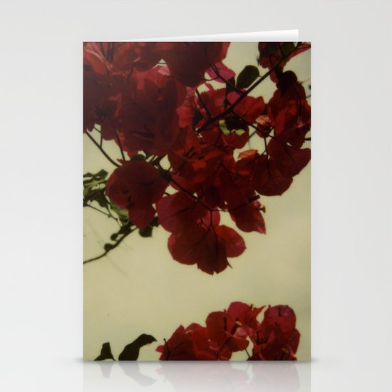 Floral Formula Stationery Cards