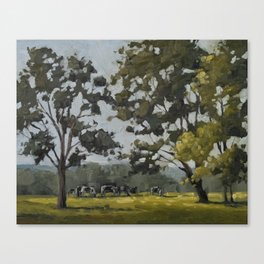 cows through the trees Canvas Print