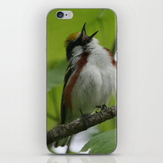 Chestnut-sided Warbler iPhone & iPod Skin