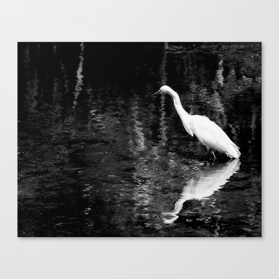 Heron at Millpond Setauket L.I. Canvas Print