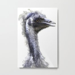 Emu Bird Isolated Metal Print