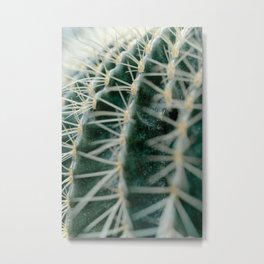 Cuddling cacti - 6 Metal Print