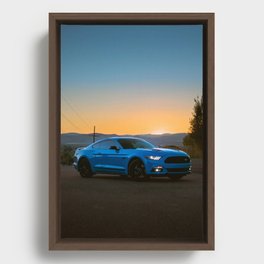 Blue Mustang Front During Sunset Framed Canvas
