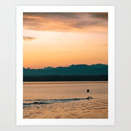 Morning Swim in the Lake Art Print