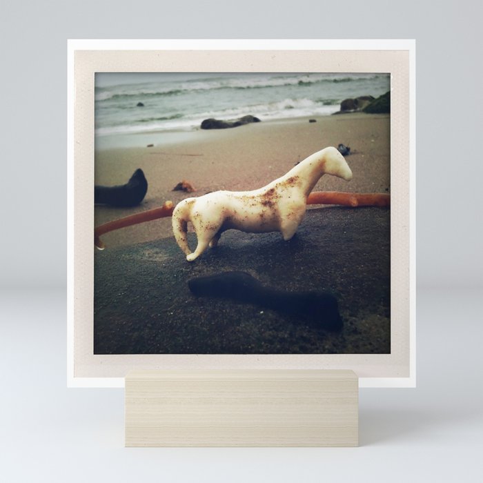 California Coast I -- Beach find caught in a photo! Perfect dreamy seaside memory for your wall :-) Mini Art Print