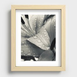 Silver Lily Recessed Framed Print