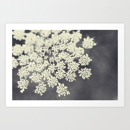 Black and White Queen Annes Lace Art Print