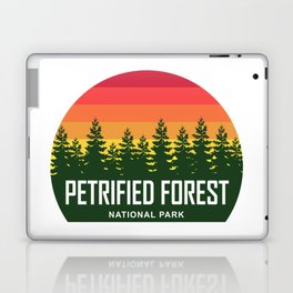 Petrified Forest National Park Laptop Skin