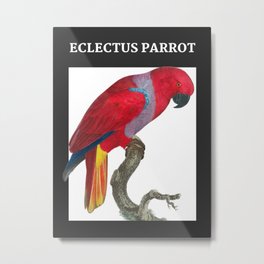 Parrot species - Eclectus Parrot Metal Print | Digital, Name, Bird, Birds, Red, Pet, Eclectusparrot, Wildlife, Parrot, Oil 