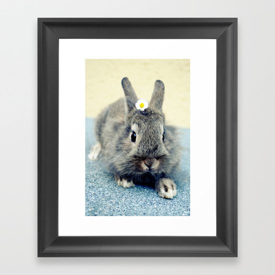 Bunny Framed Art Print