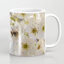 Spring Awakening  Coffee Mug