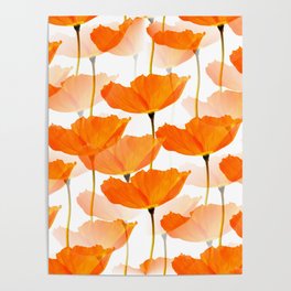 Orange Poppies On A White Background #decor #society6 #buyart Poster