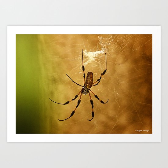 Banana Spider Art Print