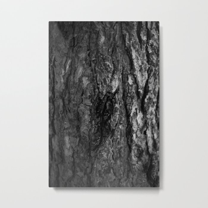  Bark of Tree Metal Print