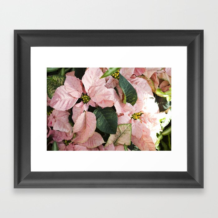 Pretty in Pink  |  The Plant Life Framed Art Print