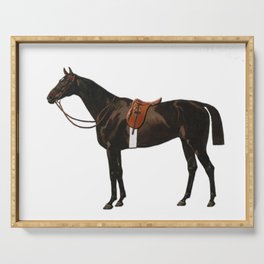 Vintage equestrian horse sketche decor Serving Tray