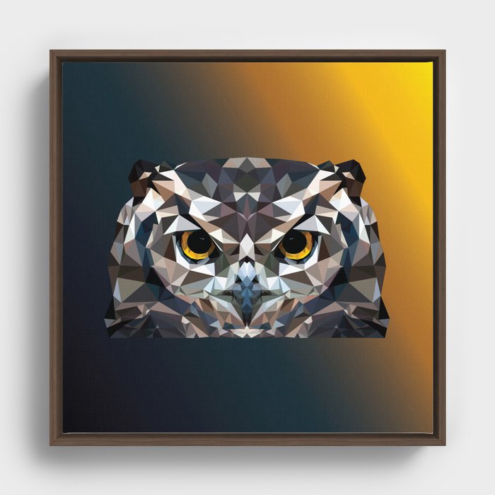 Angry Owl Framed Canvas