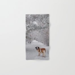 St Bernard dog in the snowy woods Hand & Bath Towel