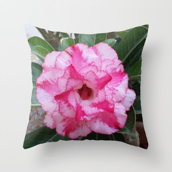 OH! SO SWEET... Throw Pillow