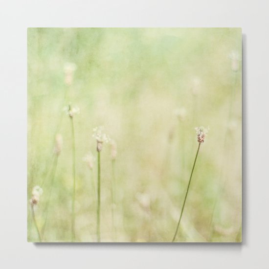 in the field Metal Print