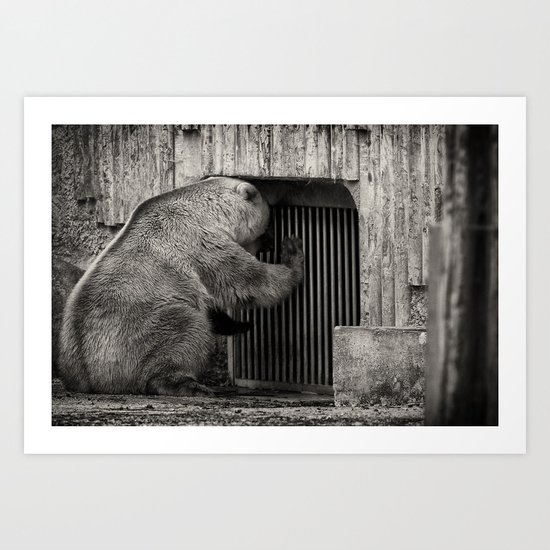 Bear Art Print