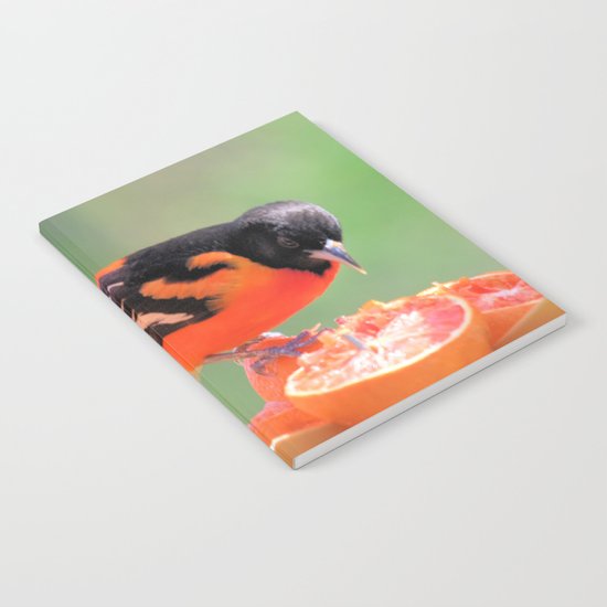 Orange Juice for Breakfast (Baltimore Oriole) Notebook