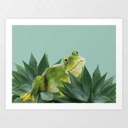 Frog sitting between agave leaves Art Print