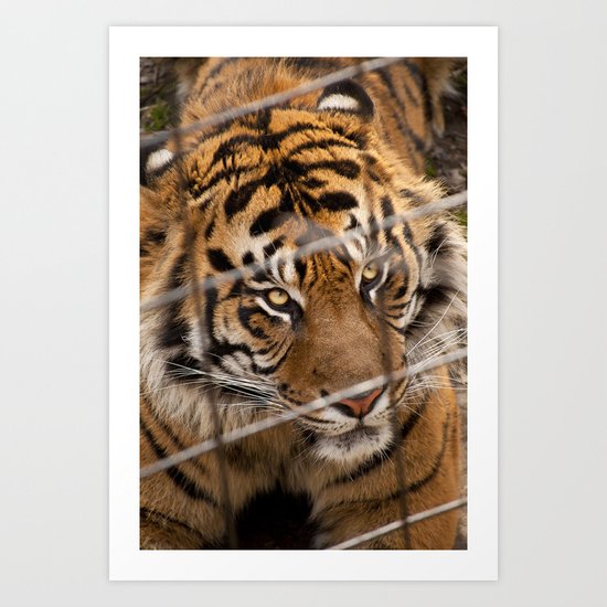 Looks can kill. Art Print