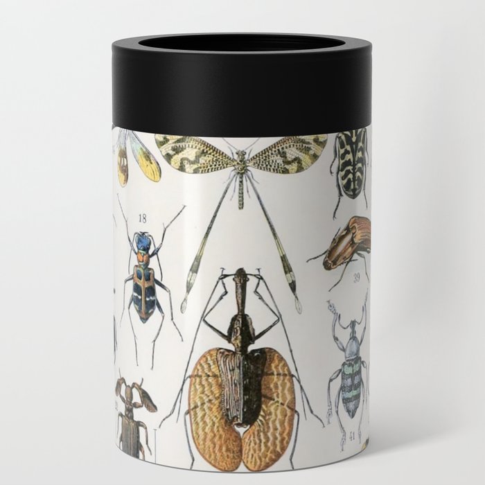 Insects 2 by Adolphe Millot Can Cooler
