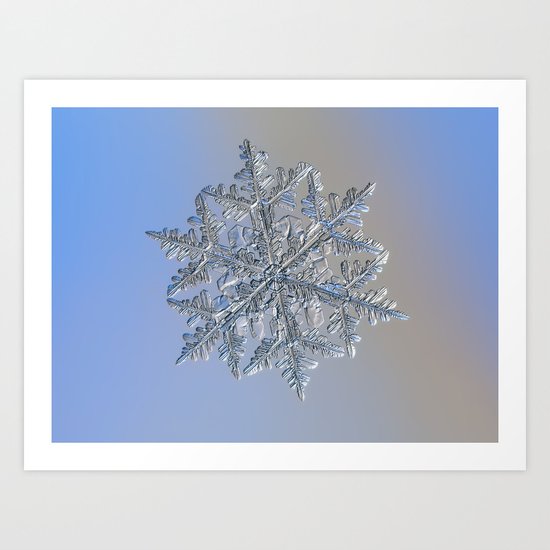 Real snowflake macro photo - 13 February 2017 - 3 Art Print
