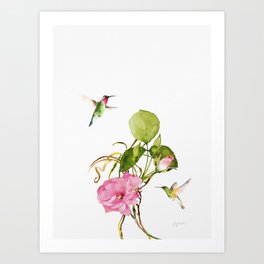 Hummingbirds with Roses Art Print