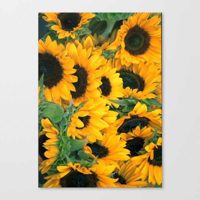 Sunflowers Canvas Print