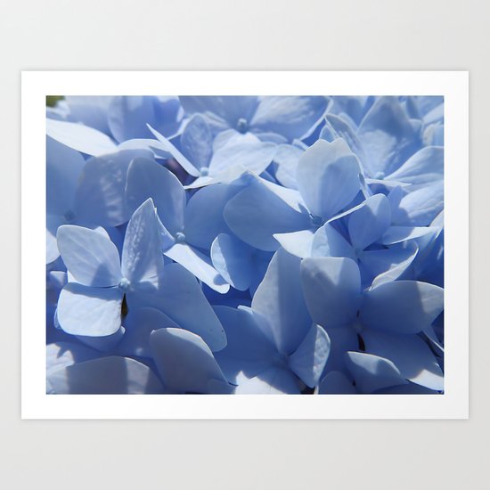 Blue hydrangea in LOVE- Flower floral Art Print