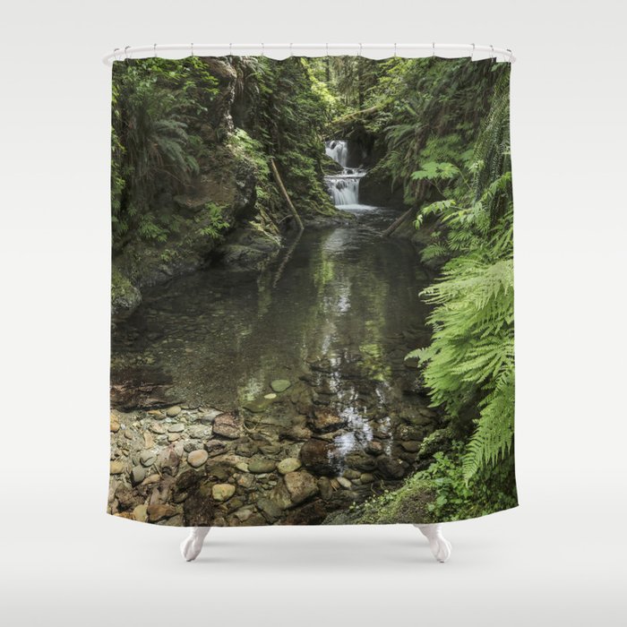 Quinault Rainforest & Falls 5-24-20  Shower Curtain