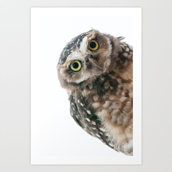 Owl Art Print