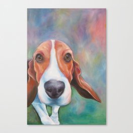 Curious beagle Canvas Print