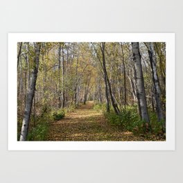 Path Through the Forest Art Print