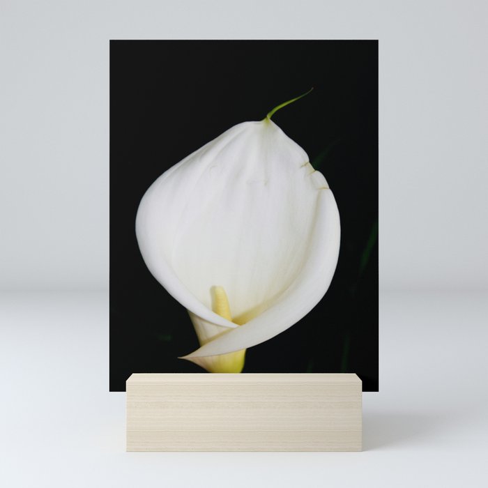 Mini Art Print
