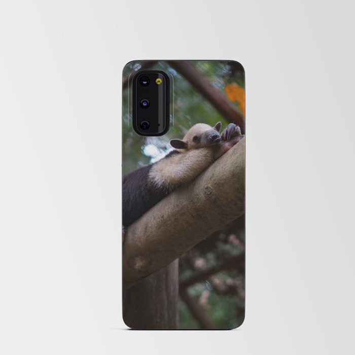 A sleeping mini anteater at Alturas Sanctuary in Costa Rica Android Card Case