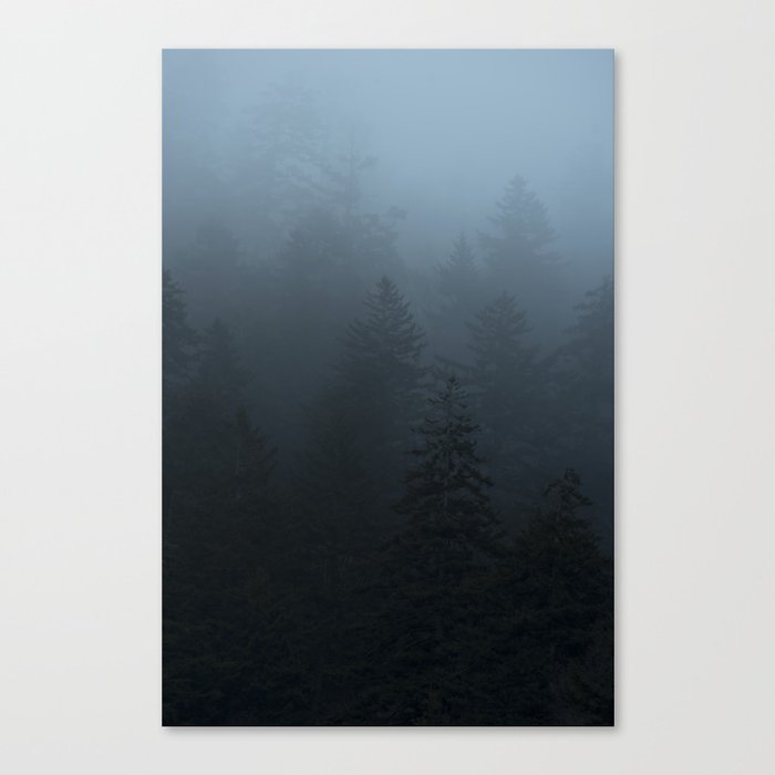 Blue Trees in Fog Great Smoky Mountains Canvas Print